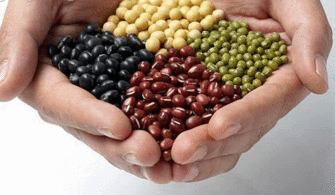 八大補(bǔ)腦營養(yǎng)食品排行 圖